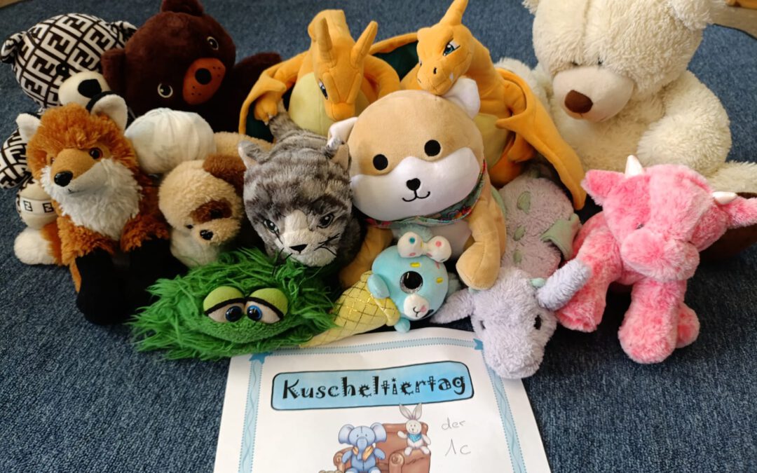 Kuscheltiertag in der Katzenklasse
