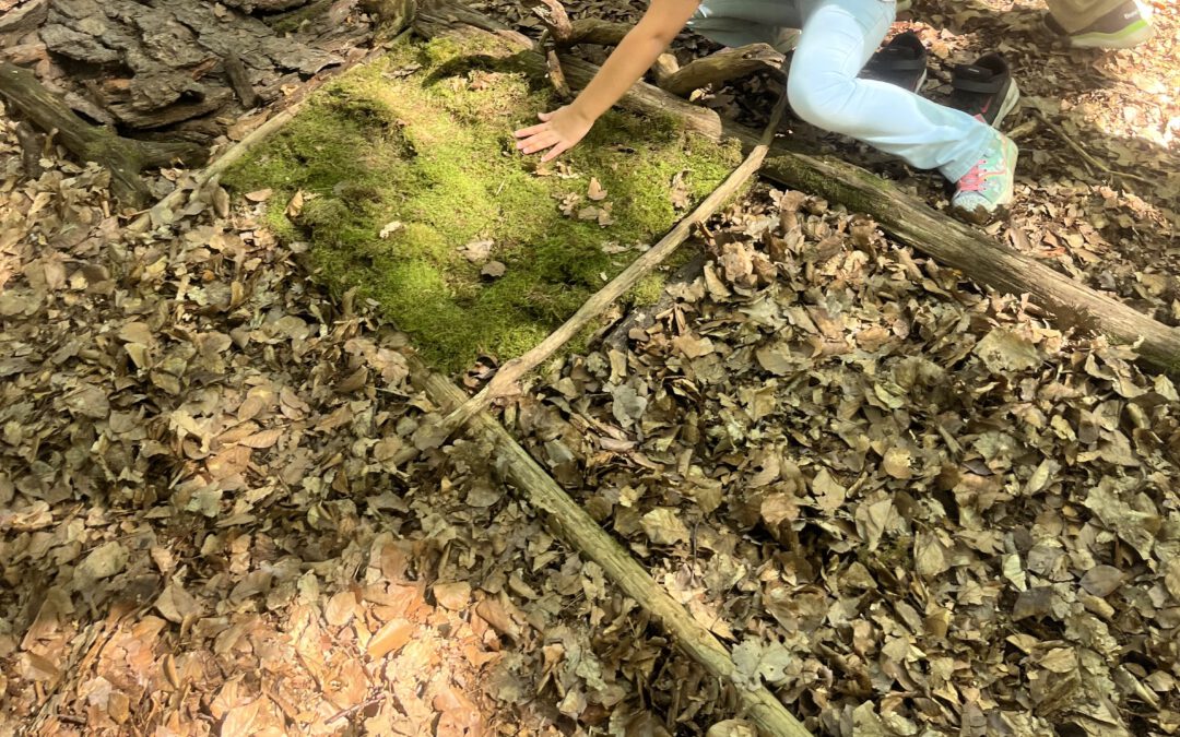 Ausflug in den Wald